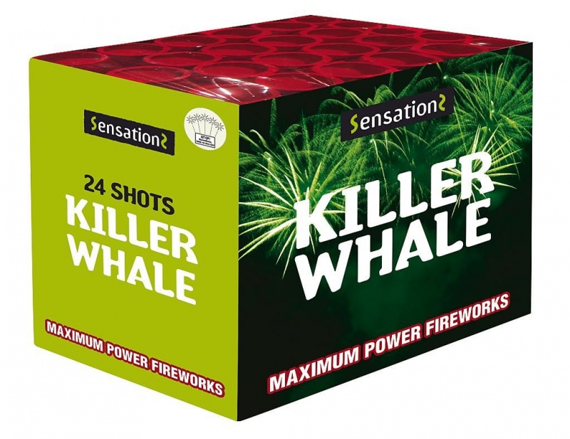 Naam: 687_killer_whale.jpg
Bekeken: 94
Grootte: 154,6 KB