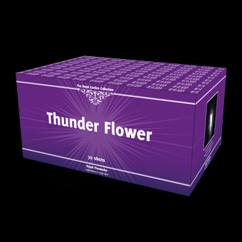 Naam: thunder-flower-vuurwerk.jpg
Bekeken: 347
Grootte: 55,0 KB