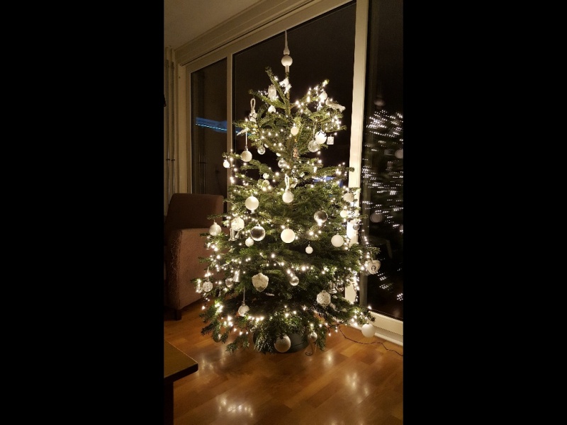 Naam: kerstboom 2017.jpg
Bekeken: 345
Grootte: 103,5 KB