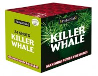 687_killer_whale.jpg