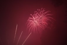 IMG_0428.jpg
