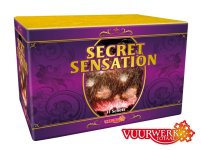 1423-Secret-Sensation-logo.jpg 1423-Secret-Sensation-logo.jpg