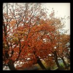 Herfst2.jpg