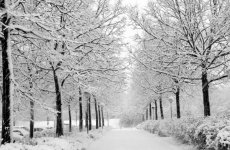 winter2.jpg