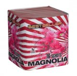 145 Magnolia.jpg