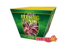 Feeling Funky.jpg