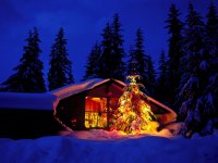christmas-cabin-and-tree-in-deep-snow.jpg