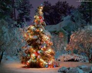 christmas-landscape-wallpapers-1280x1024.jpg