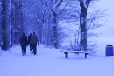 IMG_4656.jpg