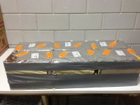 IMG_1628.jpg