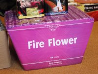 Fire Flower.jpg