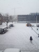 sneeuw 3-12-2012.jpg