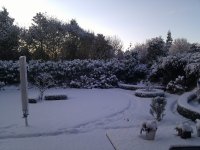 IMG_20121206_094032.jpg
