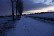 _MG_1024.jpg