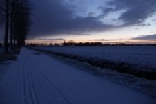 _MG_1027.jpg