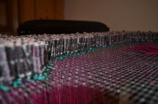 DSC_0066.jpg
