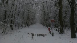 IMAG0151.jpg