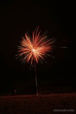 DSC02177.jpg