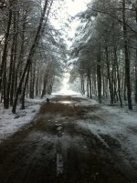 IMG_2655.jpg