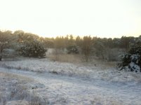 IMG_2661.jpg