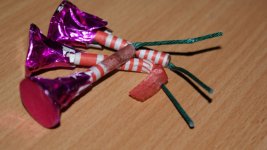 DSC01213.jpg