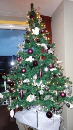 kerstboom2012.jpg