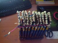 IMG_20121229_160738_1.jpg