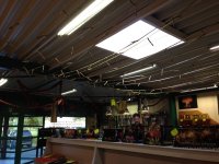 IMG_7324.jpg