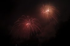 SAM_0839.jpg