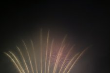 SAM_0872.jpg