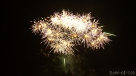 IMG_0137.jpg