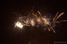 IMG_0228.jpg