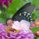 babyvlinder.png