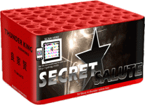 999_RVW_Secret_Salute_new_2011_groot.gif