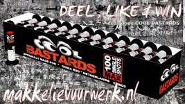 deel actie 2 c.jpg