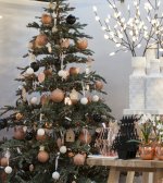 03 Beste Kerstshow  TcVW15.jpg