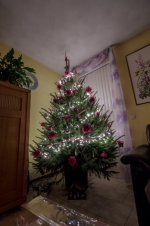 Kerstboom (1 van 7).jpg