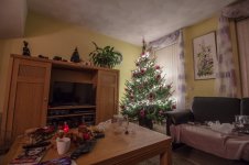 Kerstboom (3 van 7).jpg