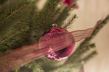 Kerstboom (4 van 7).jpg