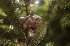 Kerstboom (5 van 7).jpg