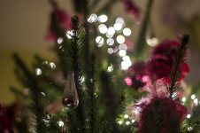 Kerstboom (7 van 7).jpg