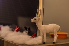 Kerst1 (13 van 18).jpg