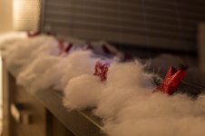 Kerst1 (15 van 18).jpg