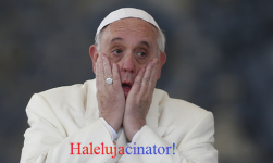IMG_3567.png