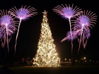 Christmas-card-1024x768.jpg