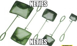 ecd5zr.jpg