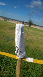 WP_20160514_042.jpg
