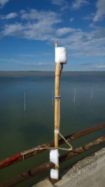 WP_20160514_052.jpg