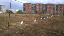 WP_20160516_040.jpg