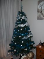 kerst en vuurwerk 015 (2).jpg